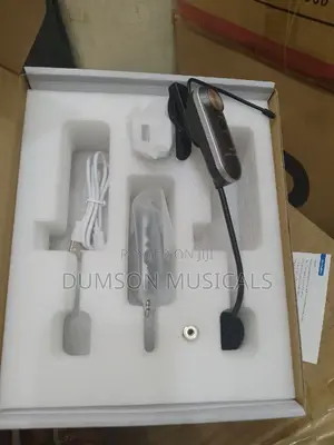 Saxophone  Wireless Mic