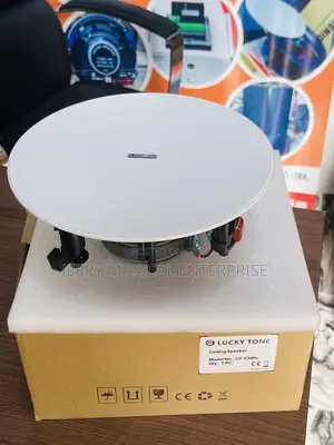 60watts Woofer Frameless Ceiling Speakers