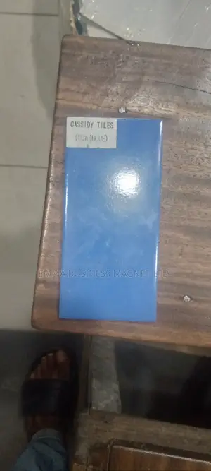 4×8 High Quality China Swimming Pool Tiles