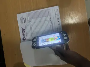 Very Neat Nintendo Switch Lite