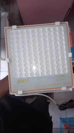 200w Electric Flood Light for Homes/ Hotels/ Wayhouses