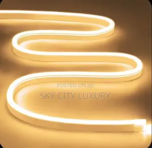 Neon Rope Light