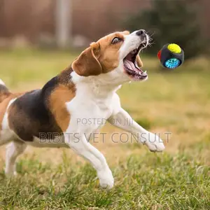 Luminous Rubber Flashing Bite Resistant Dog Toy