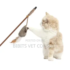 Teasing Cat Stick Toy With Elastic