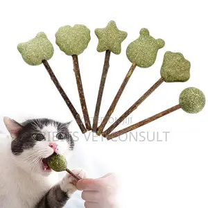 Lollipop Shape Catnip Toys
