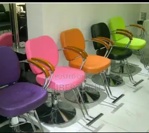 Salon Chair Original
