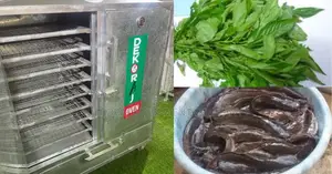 Efficient and Versatile 400pcs Catfish Capacity Drying Oven