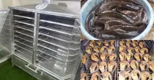 Dry 400 Catfish and More With Our Advanced Multipurpose Oven
