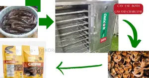 Efficiently Dry Catfish and More With a 400pcs Capacity Oven