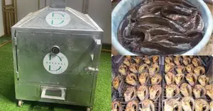 Maximize Efficiency: Dry 400pcs of Catfish and Agric Product