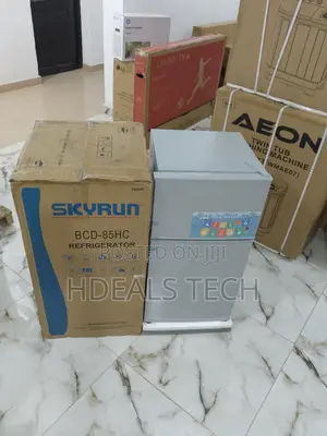 Skyrun Brand 90L Refrigerator - BCD - 85hc