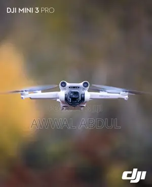 Drone Pilot