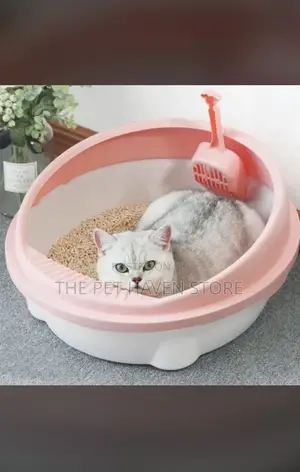 Cat Liter for Cat Both Puppies and Adults Cat