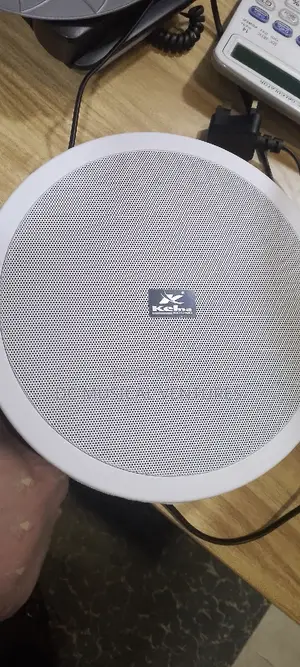 Kelma Ceiling Speaker With Bluetooth 20watts