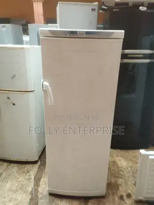 Privilege Standing Freezer (Upright)