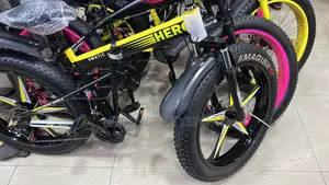 Fat Giant Tyre Bicycle