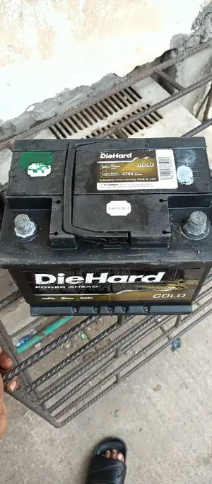 Diehard 60amps
