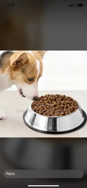Dog Plate and Dry Food