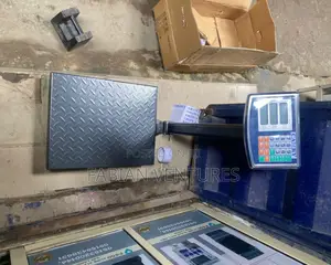 Measuring Scale 100kg