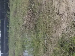 Commercial Land Along Meadow Hall School Ikate Lekki