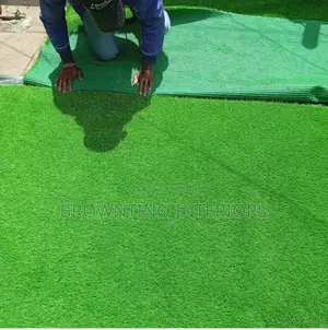 Carpet Grass