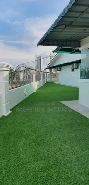 Carpet Grass