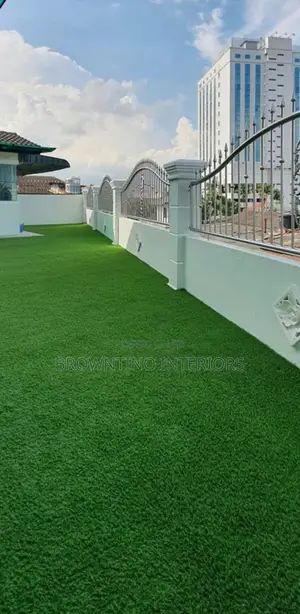 Carpet Grass