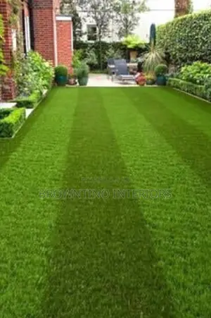 Carpet Grass