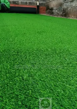 Carpet Grass
