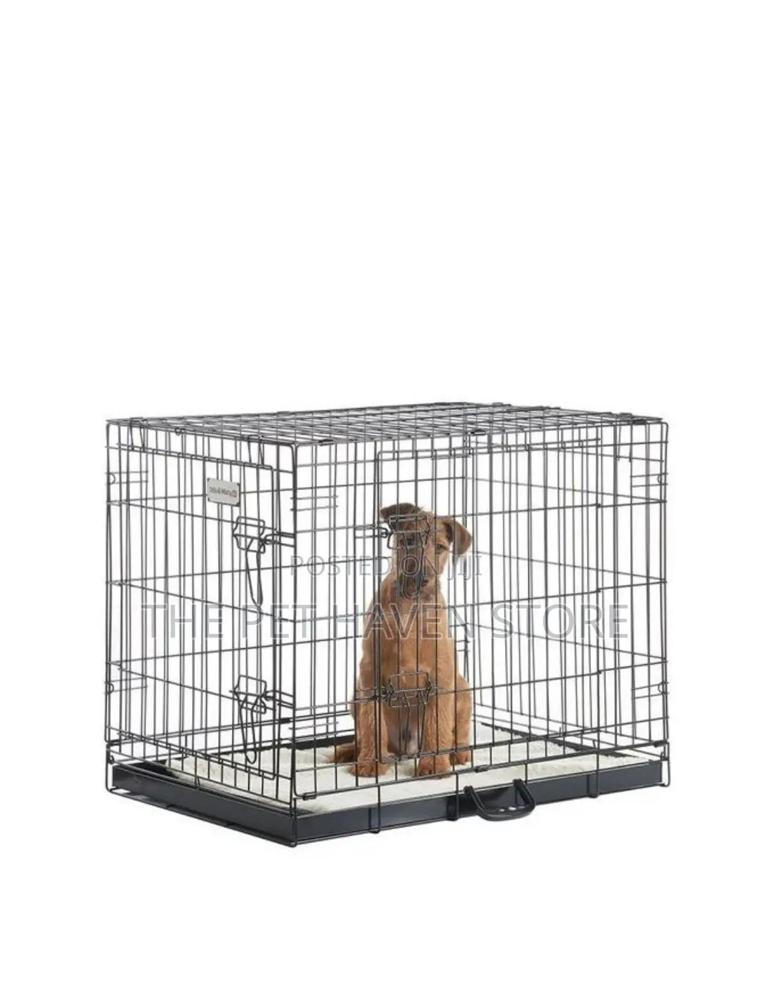 Collapsible Cage