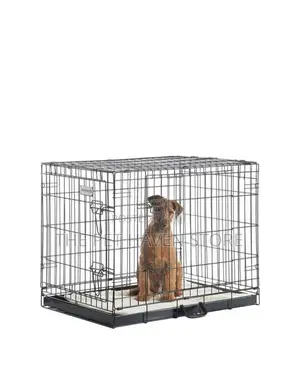 Collapsible Cage