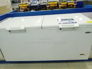 Haier Thermocool Freezer