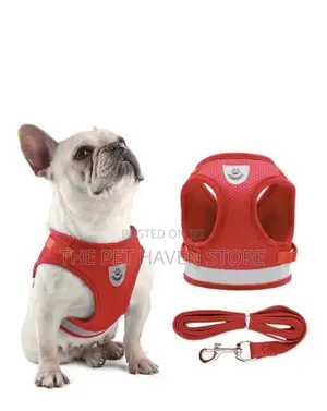 Dog Body Harness