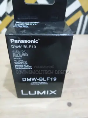 Panasonic BLF 19 Battery for Gh5, and 5s