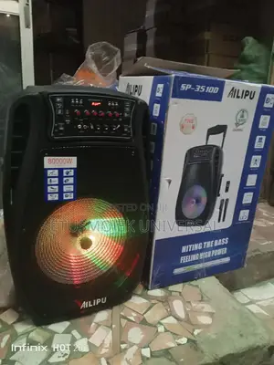 Professional Ailipu 15inches Public Address System