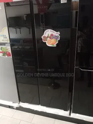 Nexus Side by Side Fridge