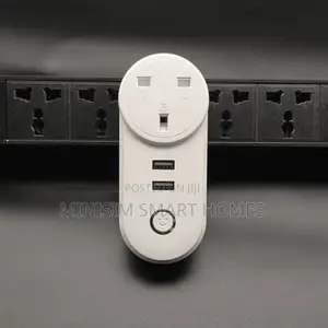 13A Smart Plug With 2 USB Port