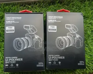 F980 Video Camera Battery