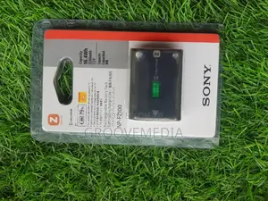 Sony Camera Battery FZ100