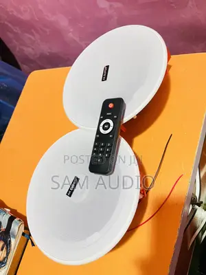 Two Way Bluetooth Ceiling Speaker With Remote