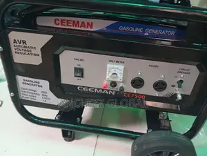 4.5 Kva Ceeman Manual Petrol Generator