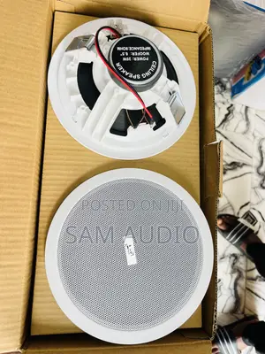 Bluetooth Ceiling Speaker (Lax)