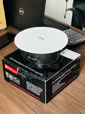 Crossover Ceiling Speaker