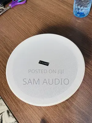 Rimless Ceiling Speaker 30watt