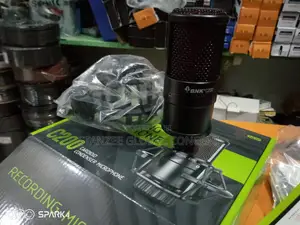 Bnk C200 Recording/Condenser Microphone
