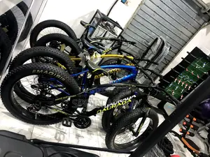 Flat Tyres Bicycle