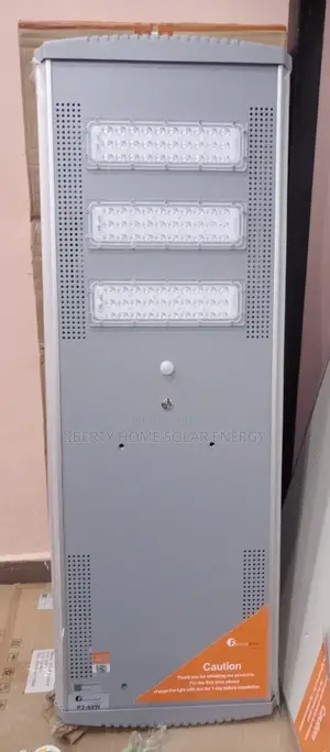 P2 Felicity 60w Streetlight