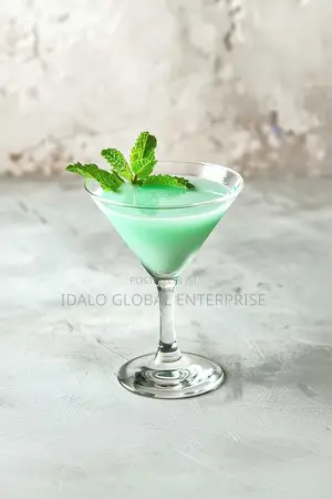 Acrylic Martini Glass