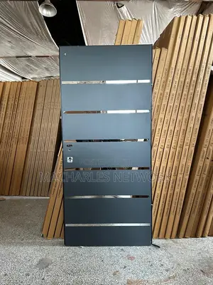 3ft by 7ft Israeli Doors With Silver Line