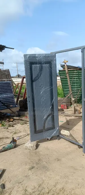 Professional Security Door